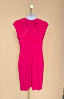 Diane von Furstenberg Hot Pink Sheath Dress – Size 4