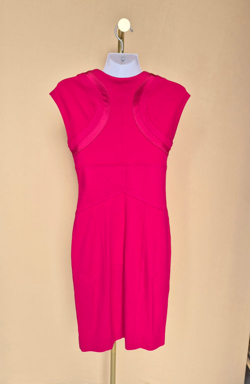 Diane von Furstenberg Hot Pink Sheath Dress – Size 4