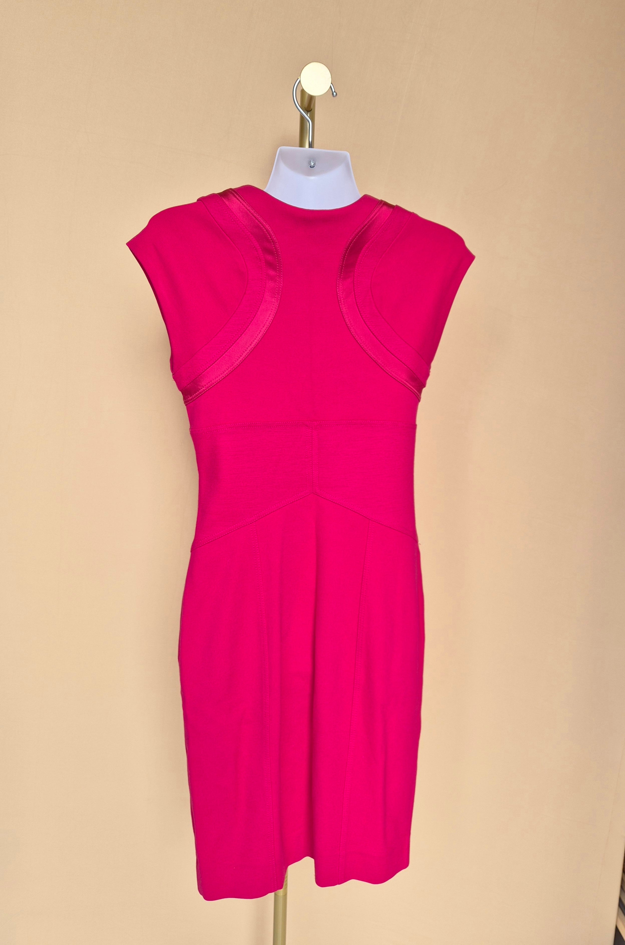 Diane von Furstenberg Hot Pink Sheath Dress – Size 4