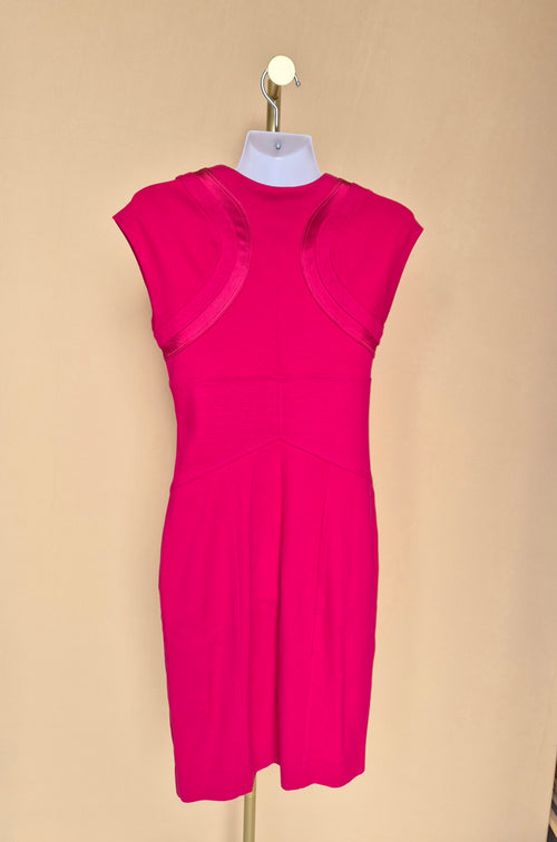 Diane von Furstenberg Hot Pink Sheath Dress – Size 4